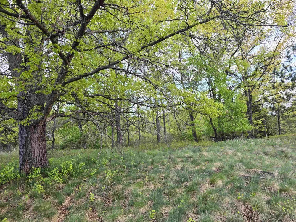 12th Street Evart Township, MI 49631