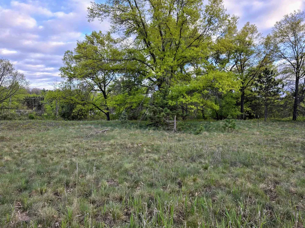 12th Street Evart Township, MI 49631