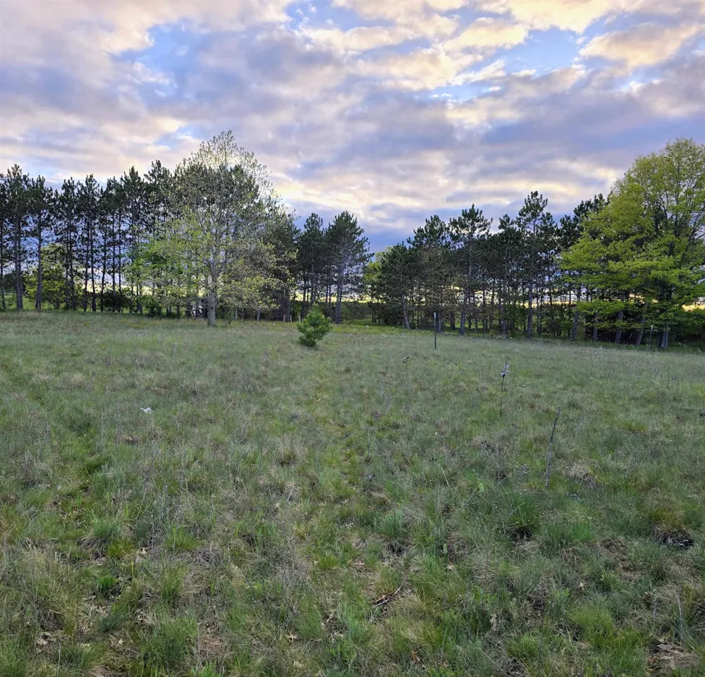 12th Street Evart Township, MI 49631