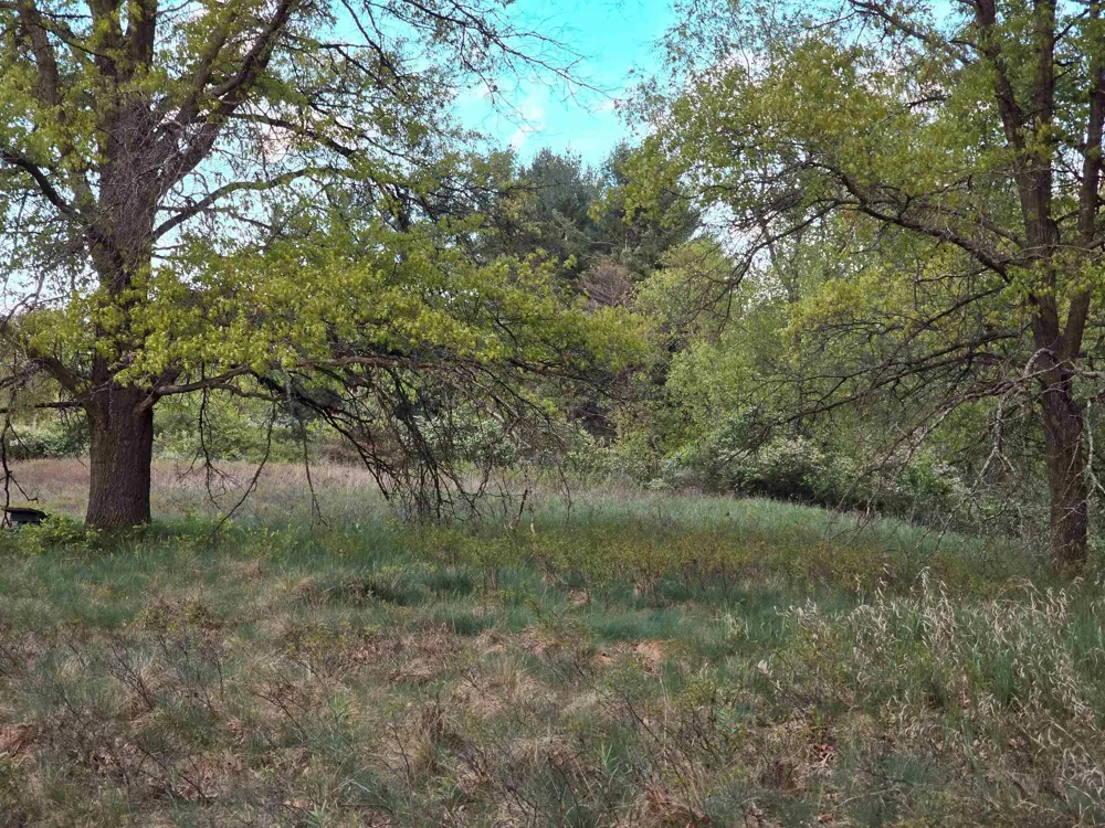 12th Street Evart Township, MI 49631