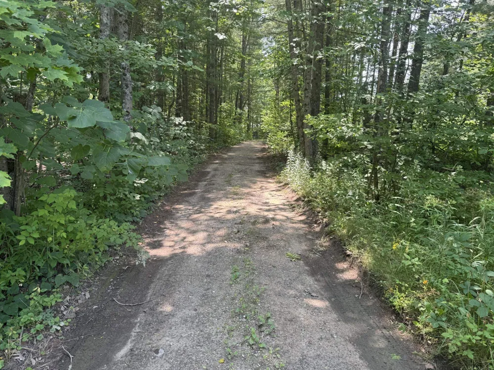 Elm Street Butterfield Township, MI 49667