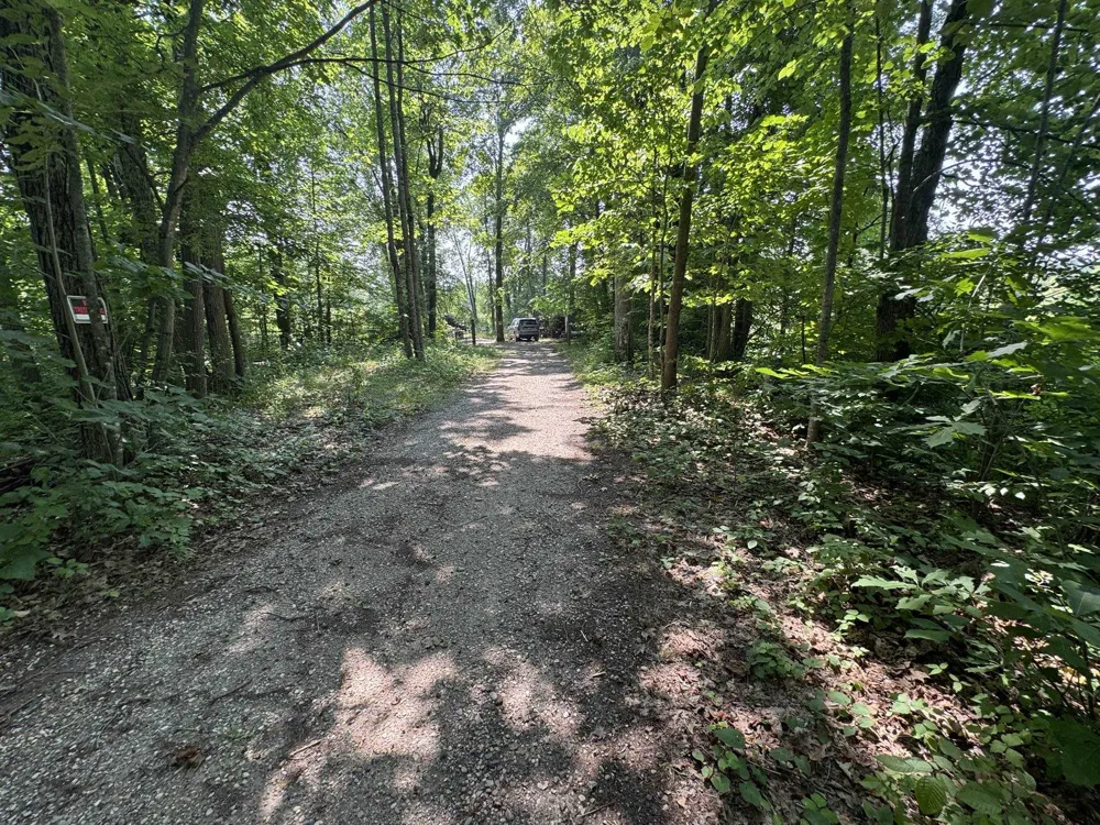 Elm Street Butterfield Township, MI 49667
