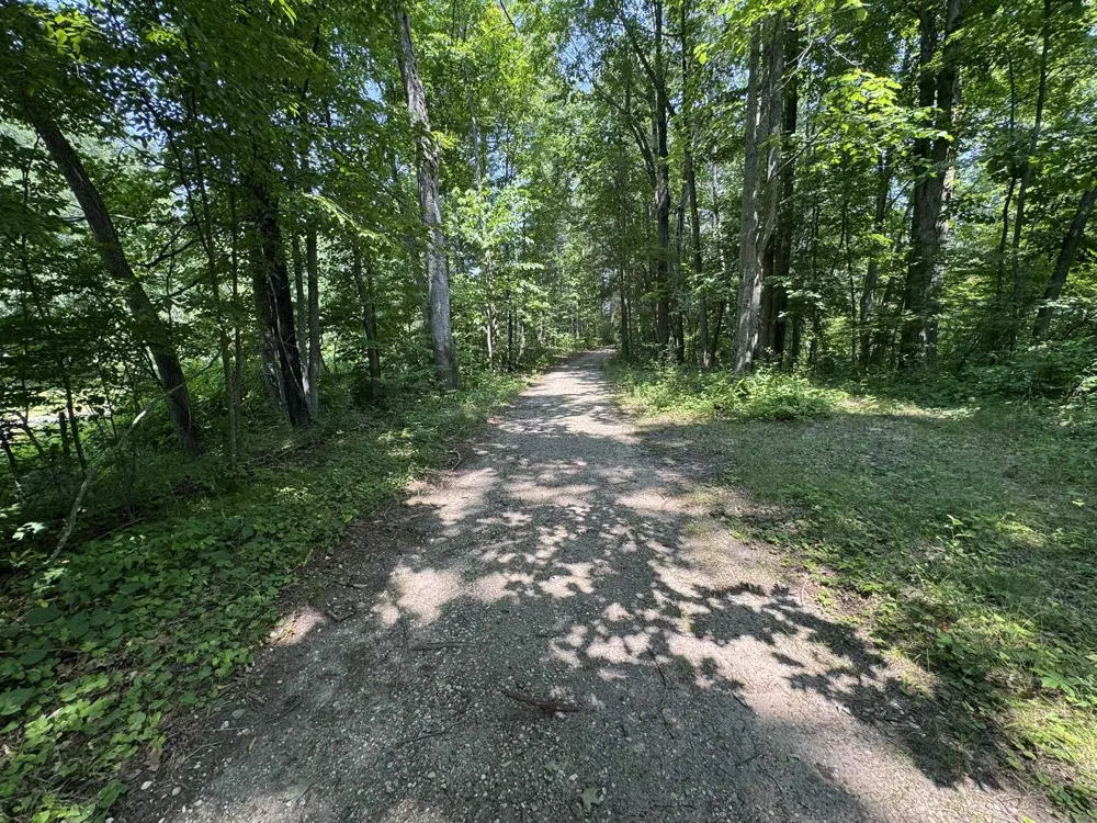 Elm Street Butterfield Township, MI 49667