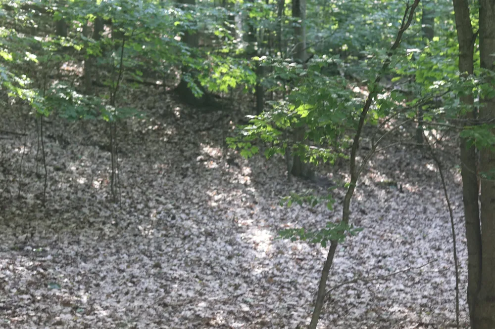 Crystal View Lake Township, MI 49617