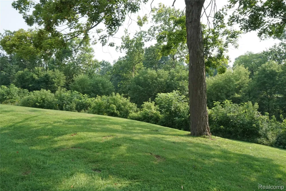 Lola Drive Redford Charter Township, MI 48239