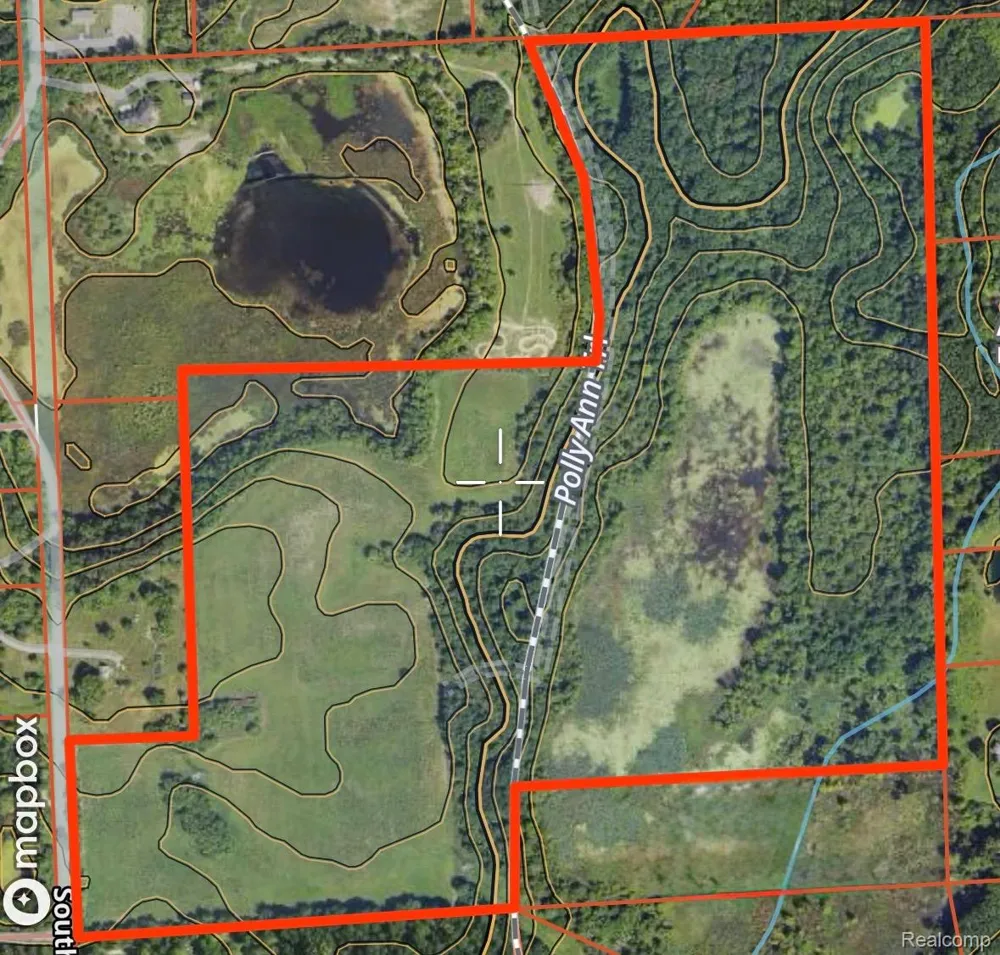 S Mill Road Dryden Township, MI 48428
