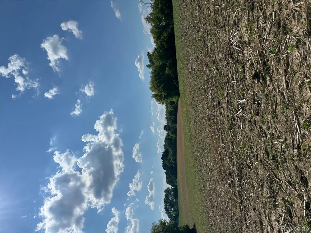 S Mill Road Dryden Township, MI 48428