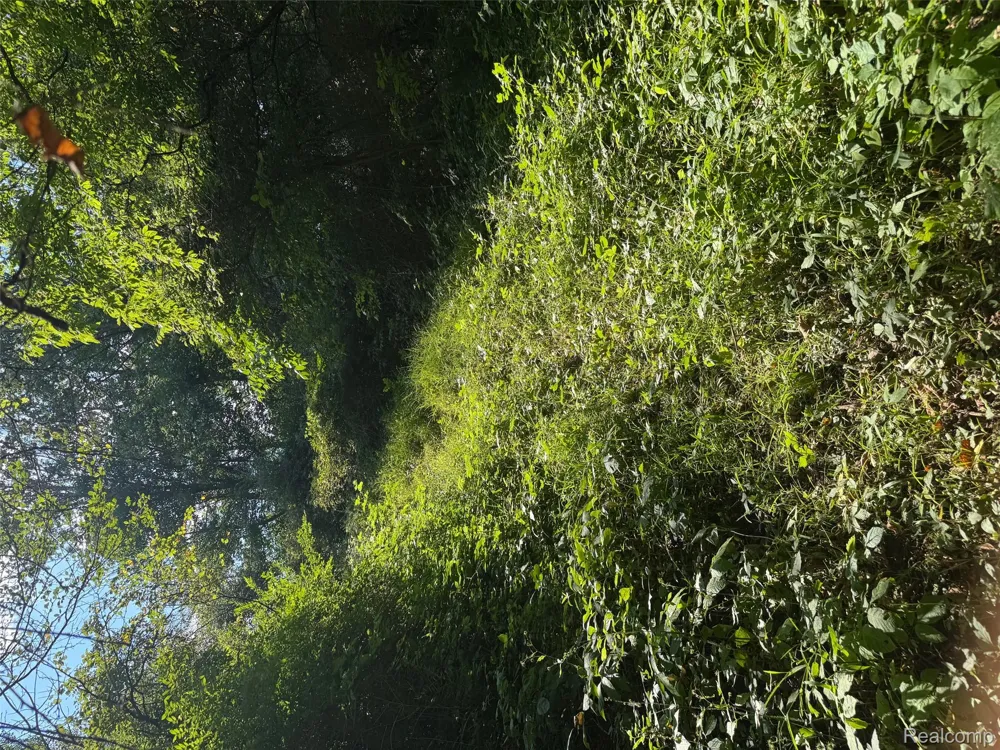 S Mill Road Dryden Township, MI 48428