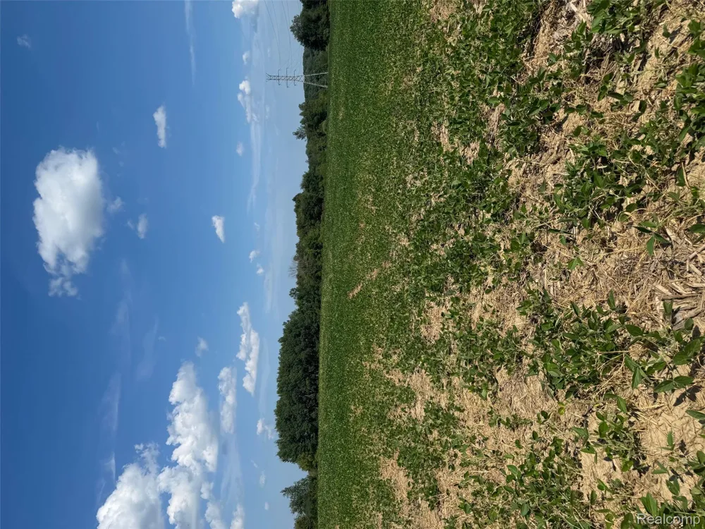 S Mill Road Dryden Township, MI 48428