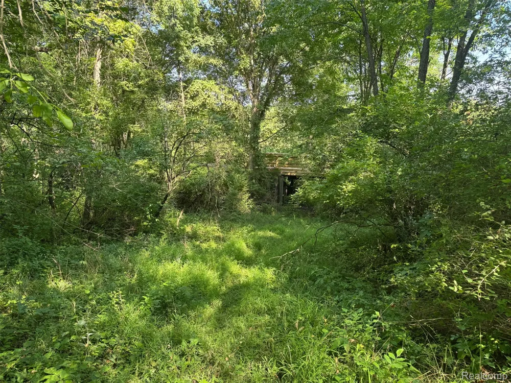 S Mill Road Dryden Township, MI 48428