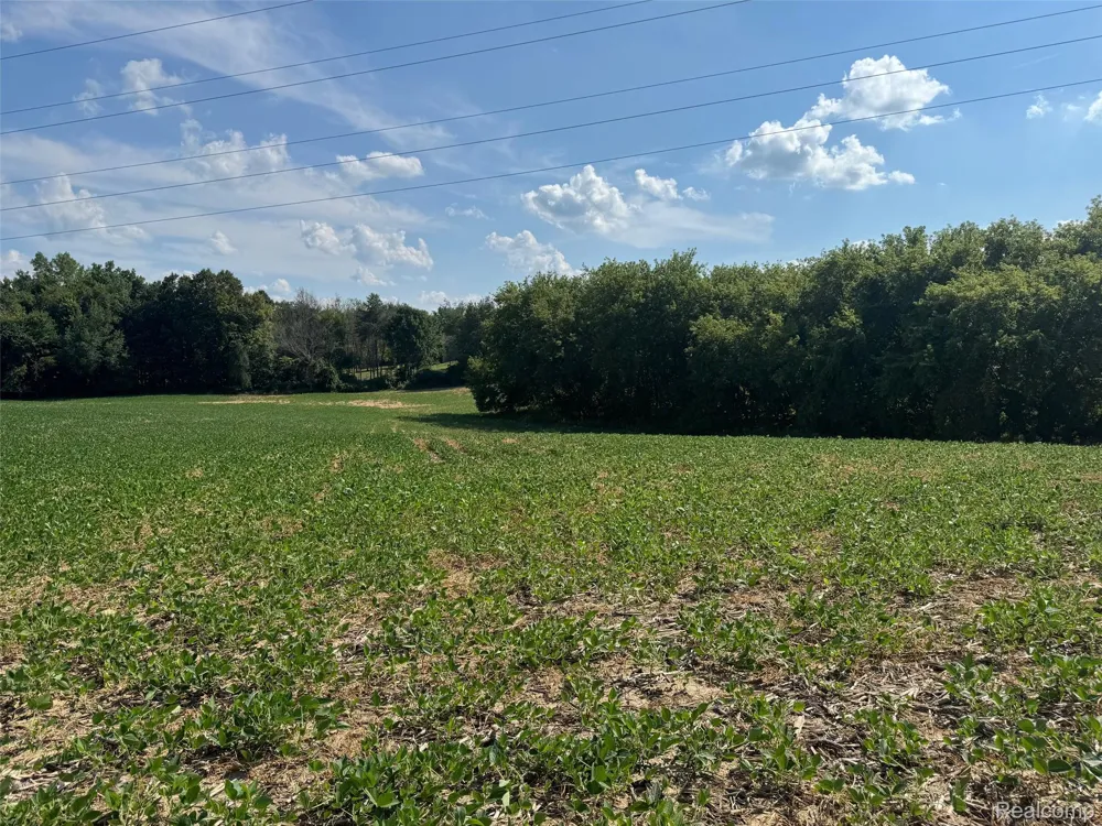 S Mill Road Dryden Township, MI 48428