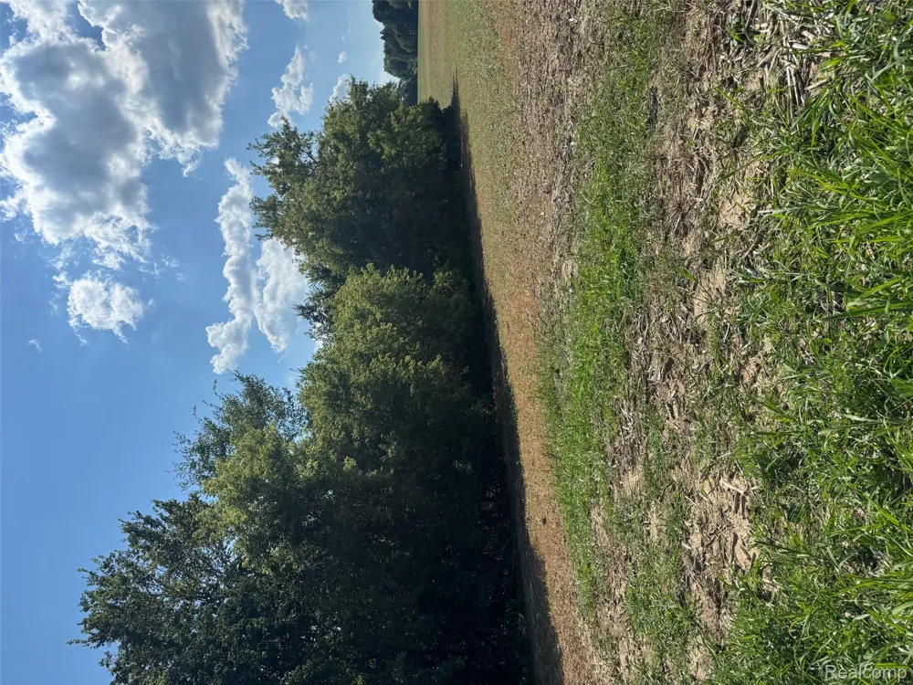 S Mill Road Dryden Township, MI 48428