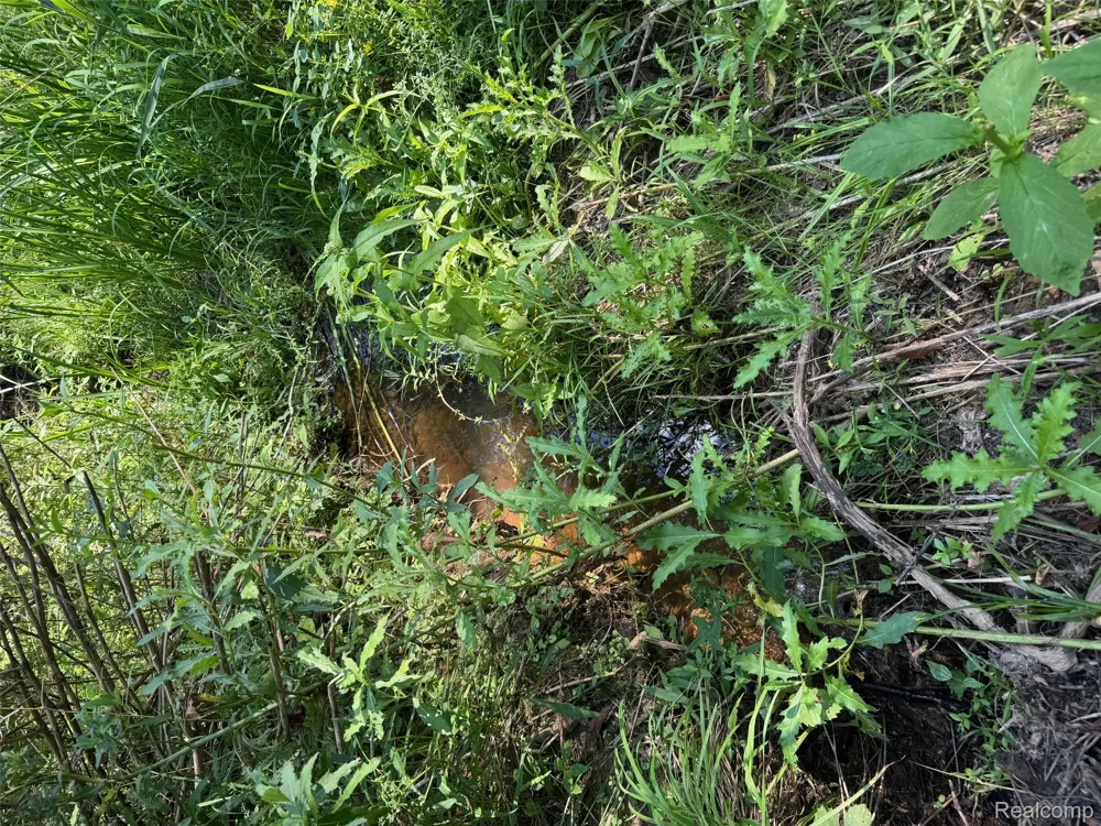 S Mill Road Dryden Township, MI 48428