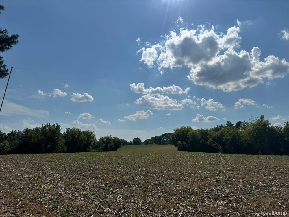 S Mill Road Dryden Township, MI 48428