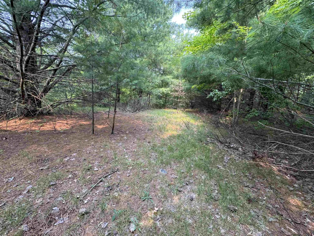 E Bellinger Road Kasson Township, MI 49621