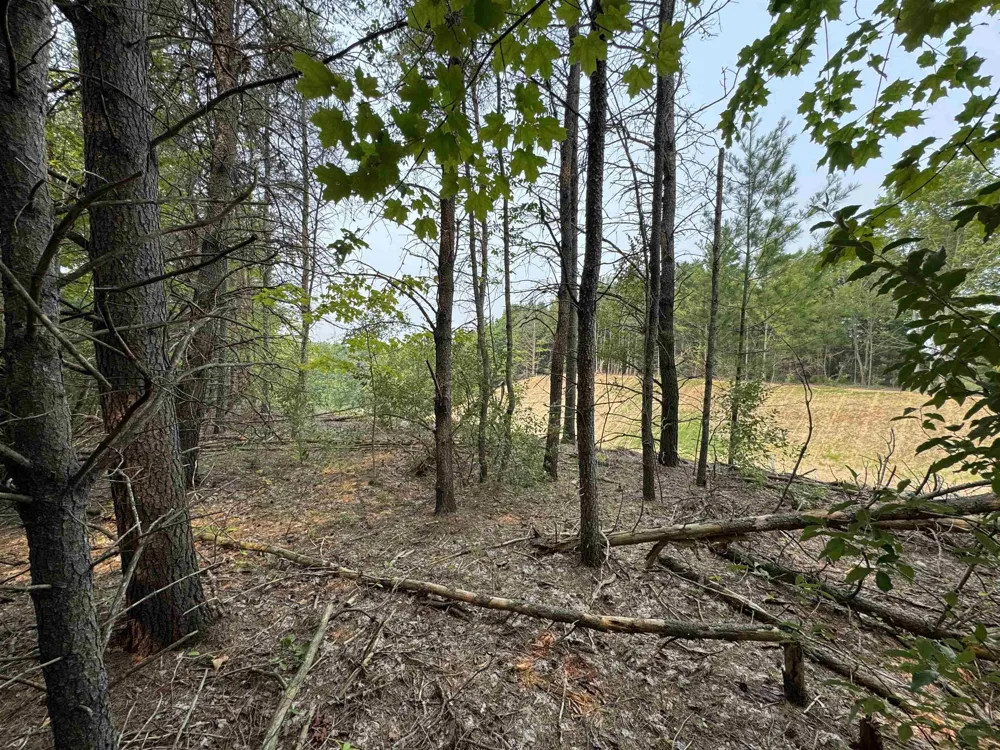 E Bellinger Road Kasson Township, MI 49621