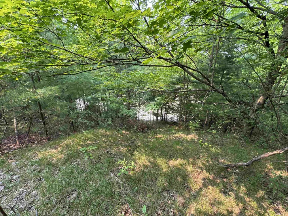 E Bellinger Road Kasson Township, MI 49621