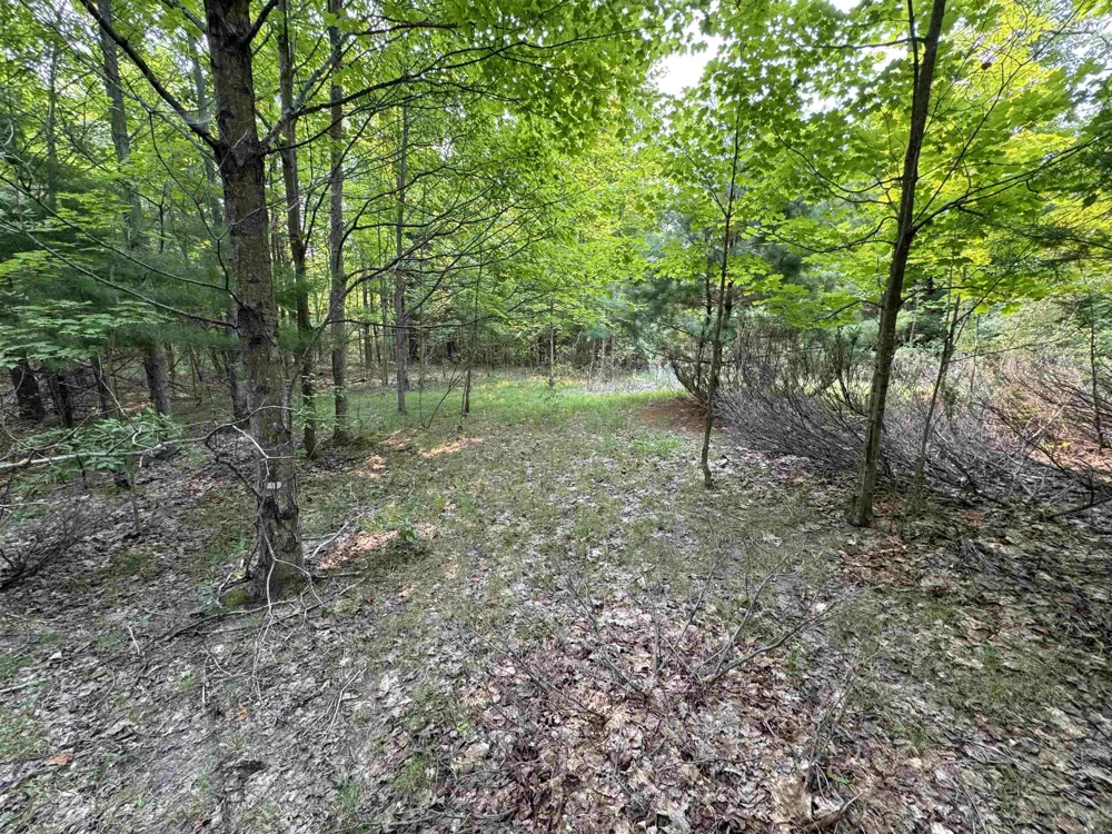 E Bellinger Road Kasson Township, MI 49621