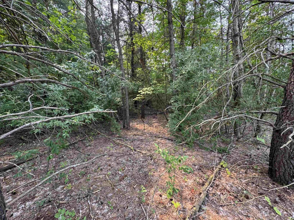E Bellinger Road Kasson Township, MI 49621
