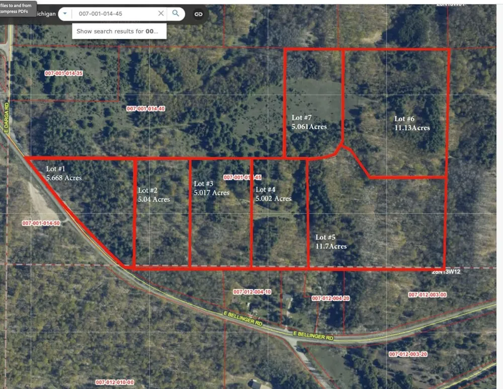 E Bellinger Road Kasson Township, MI 49621