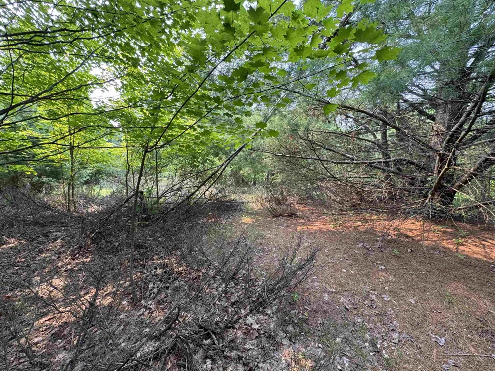 E Bellinger Road Kasson Township, MI 49621