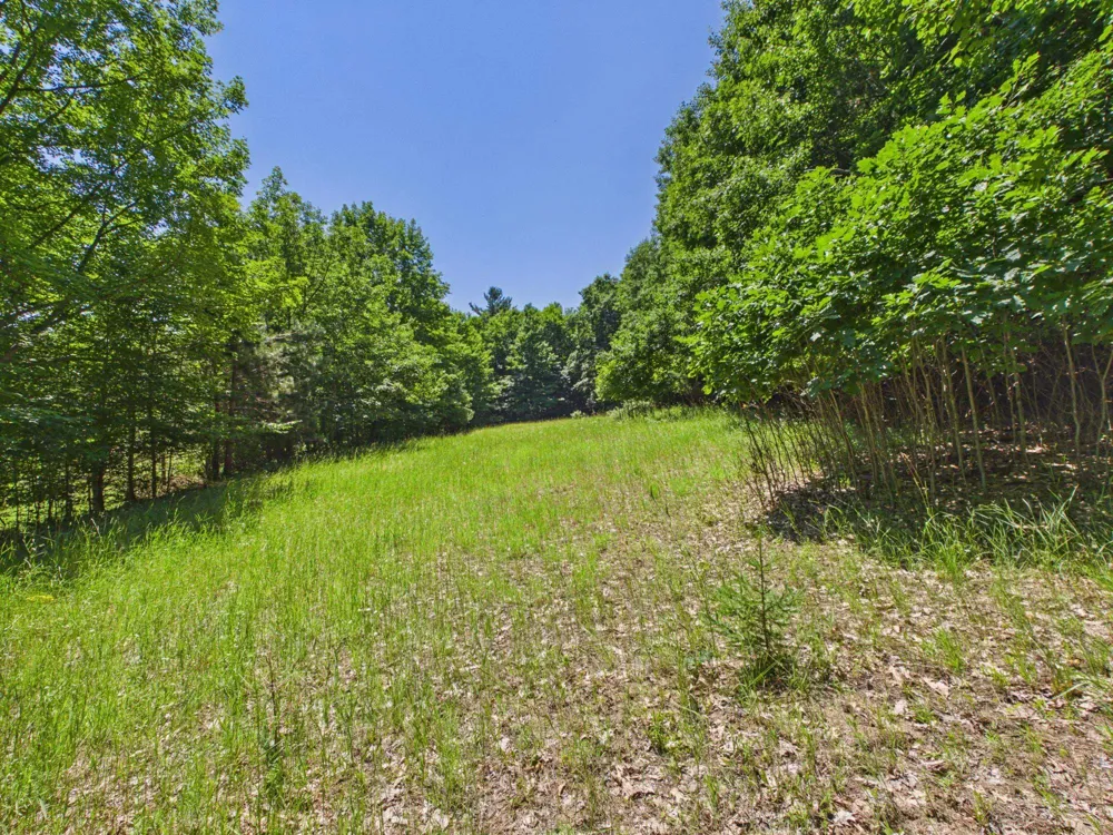 S Schomberg Road Leland Township, MI 49653