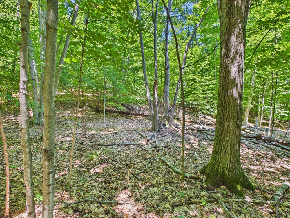 S Schomberg Road Leland Township, MI 49653