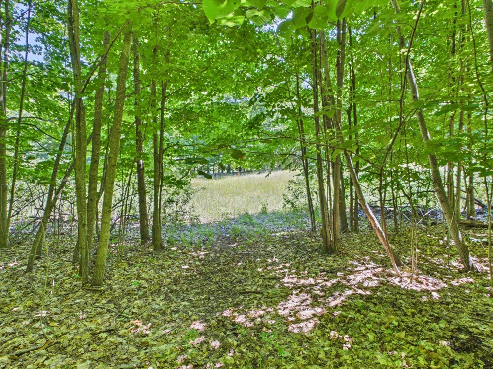 S Schomberg Road Leland Township, MI 49653