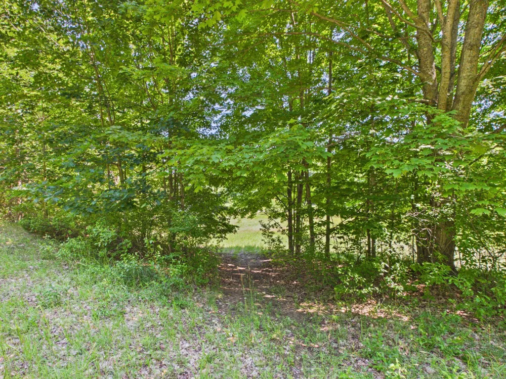 S Schomberg Road Leland Township, MI 49653