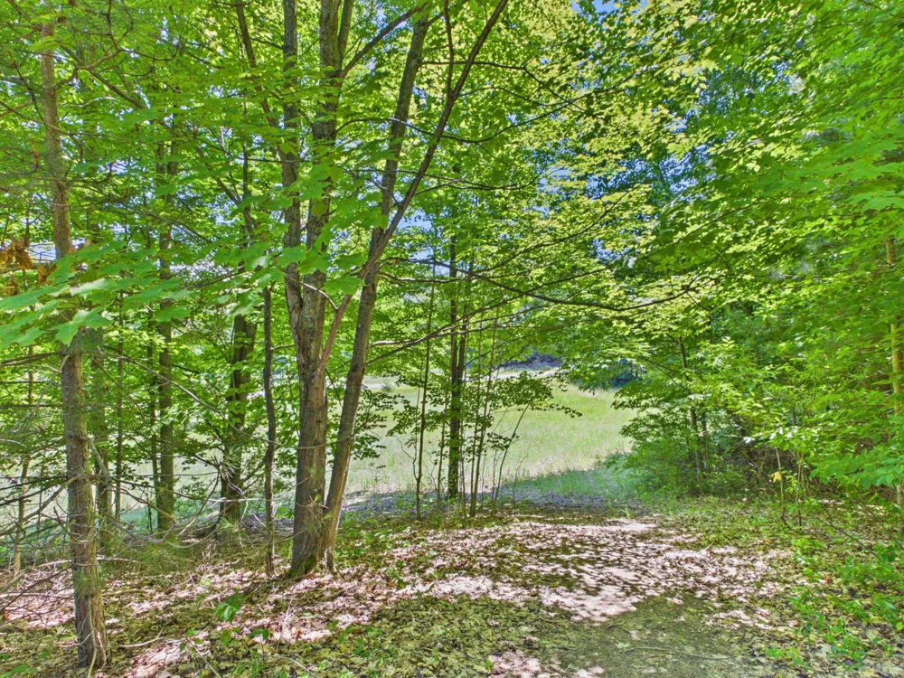 S Schomberg Road Leland Township, MI 49653