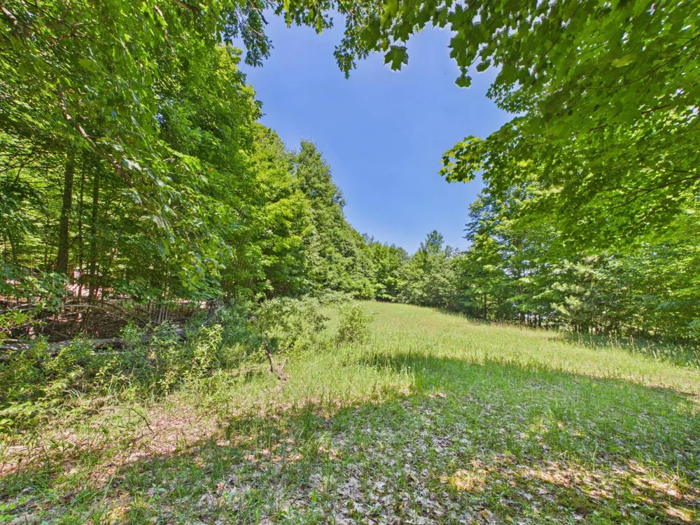 S Schomberg Road Leland Township, MI 49653