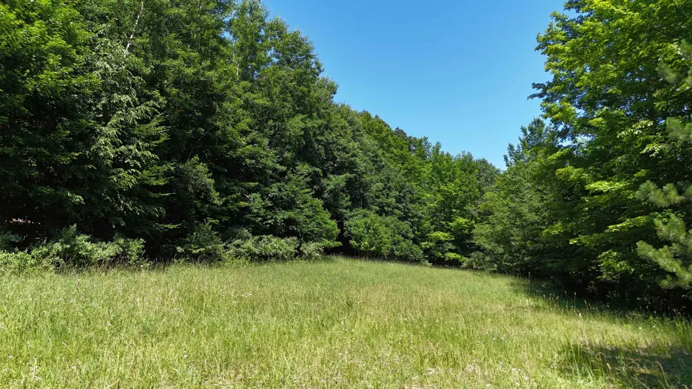 S Schomberg Road Leland Township, MI 49653