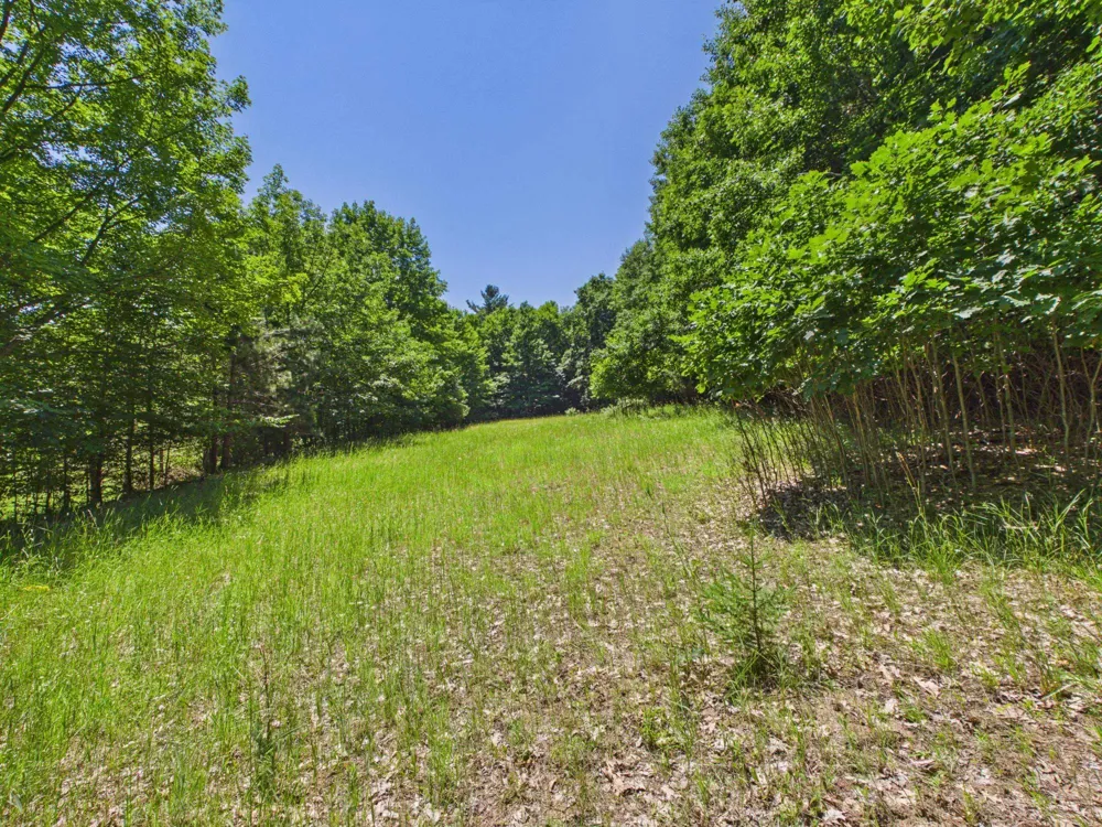 S Schomberg Road Leland Township, MI 49653