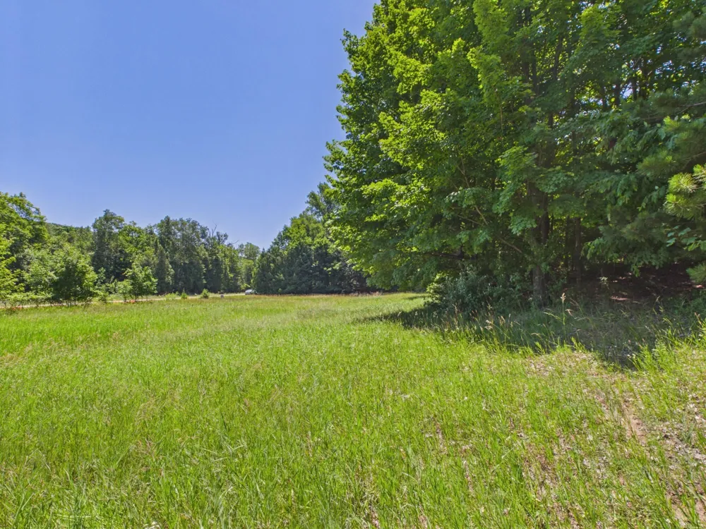 S Schomberg Road Leland Township, MI 49653