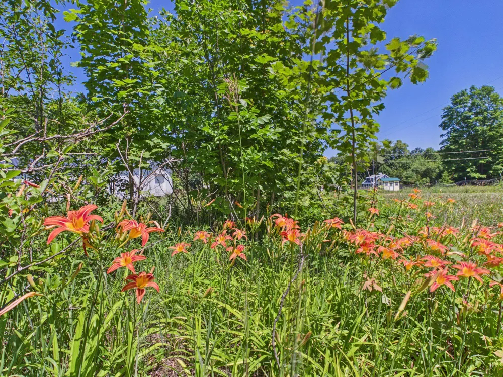 S Schomberg Road Leland Township, MI 49653