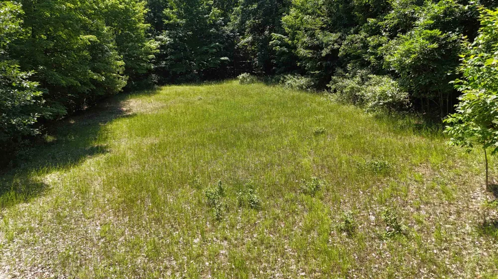 S Schomberg Road Leland Township, MI 49653