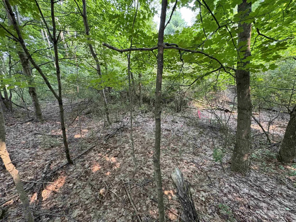 E Bellinger Road Kasson Township, MI 49621