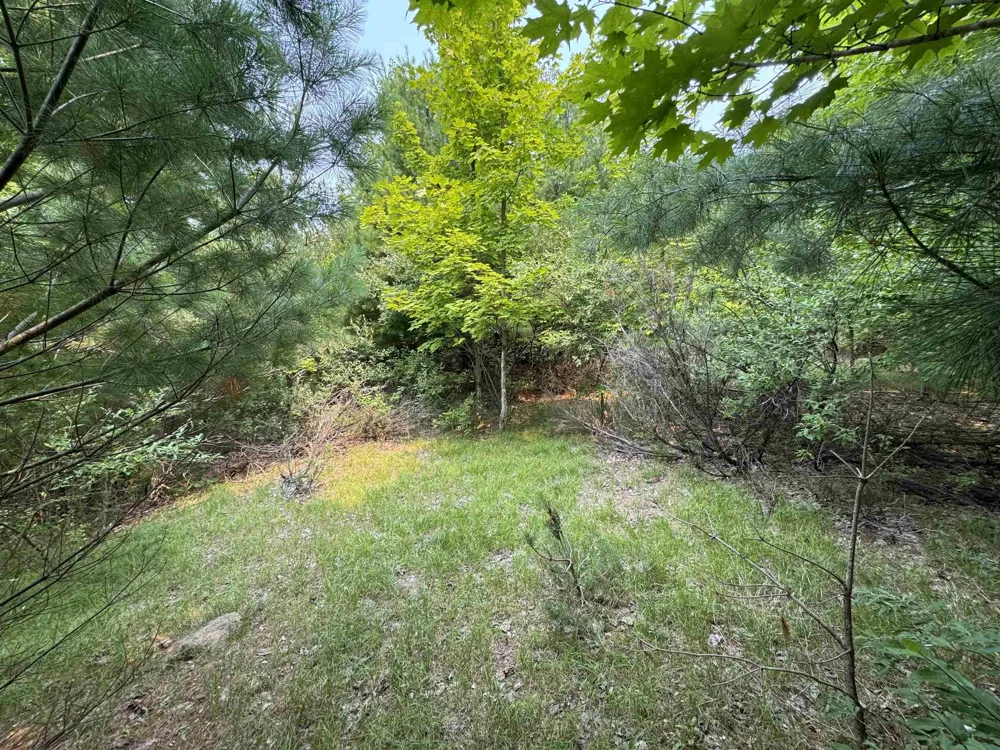 E Bellinger Road Kasson Township, MI 49621