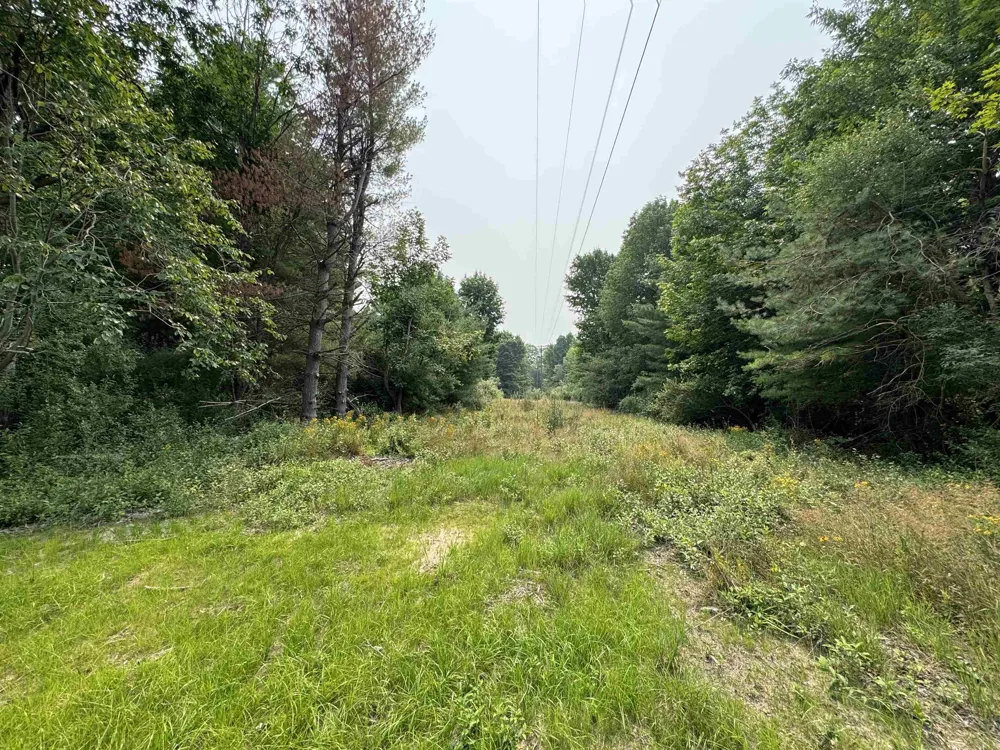 E Bellinger Road Kasson Township, MI 49621