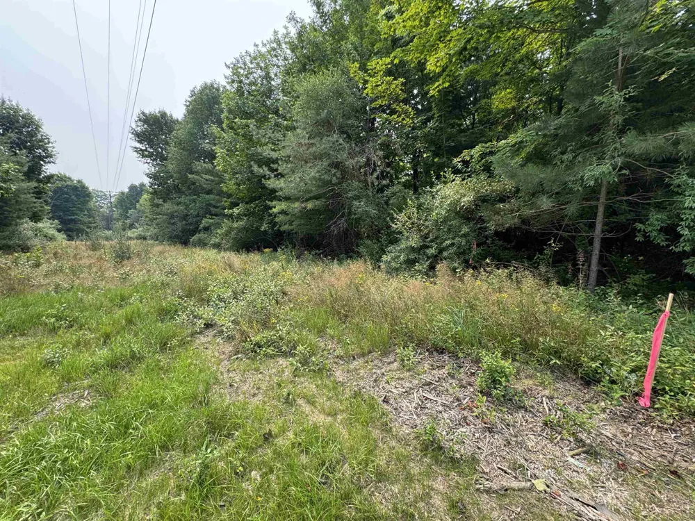 E Bellinger Road Kasson Township, MI 49621