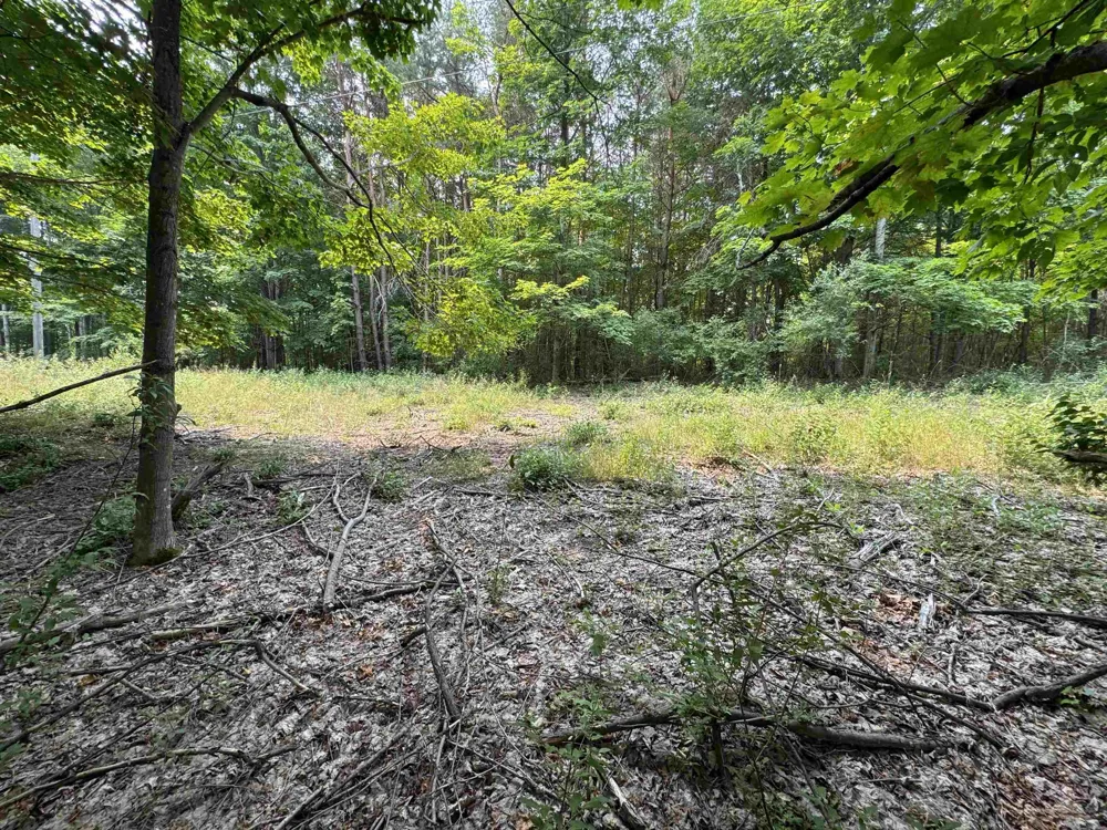 E Bellinger Road Kasson Township, MI 49621