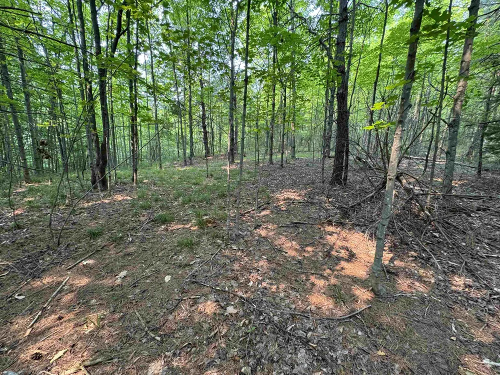 E Bellinger Road Kasson Township, MI 49621
