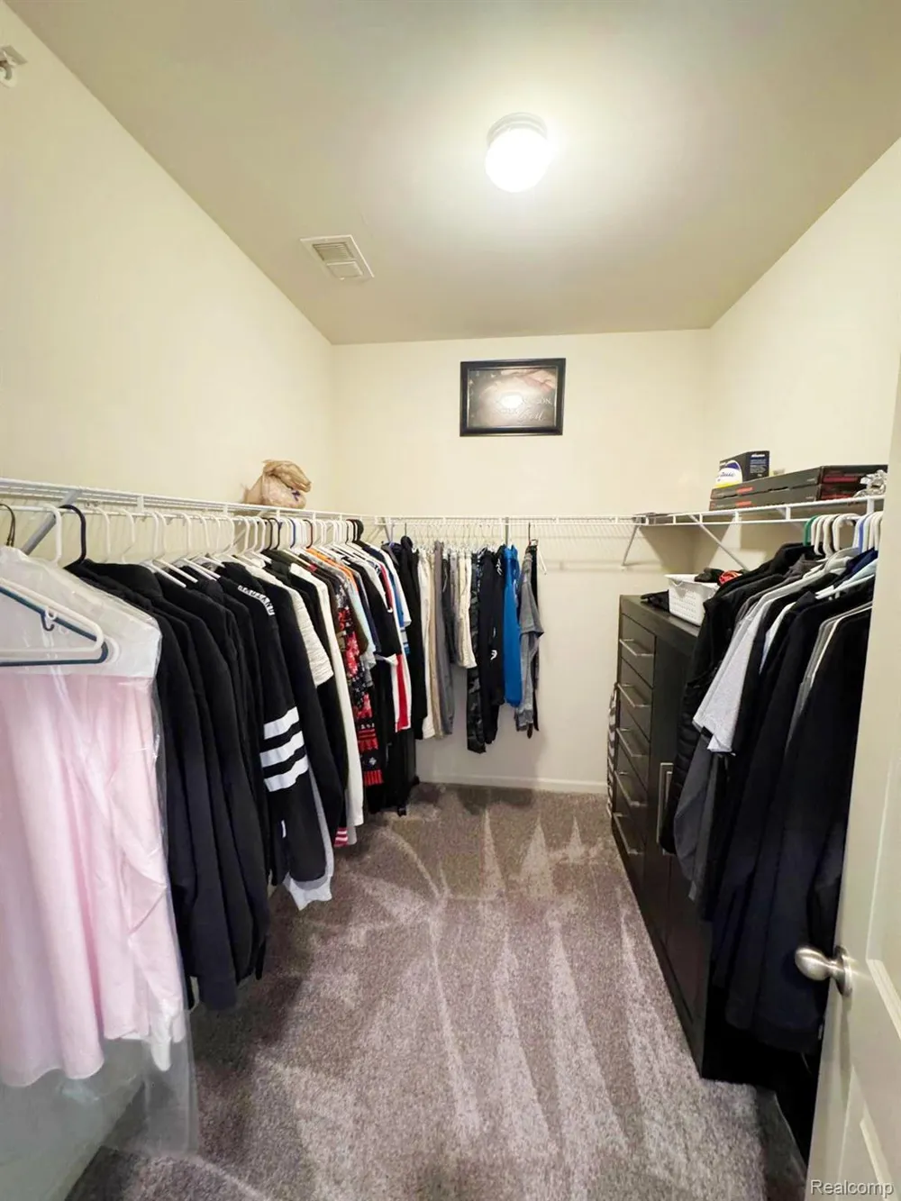 9960 Ridge Run Street Howell City, MI 48855