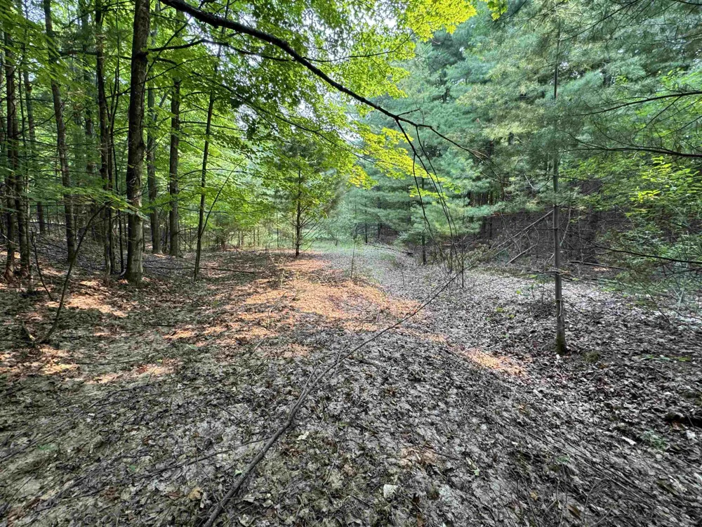 E Bellinger Road Kasson Township, MI 49621