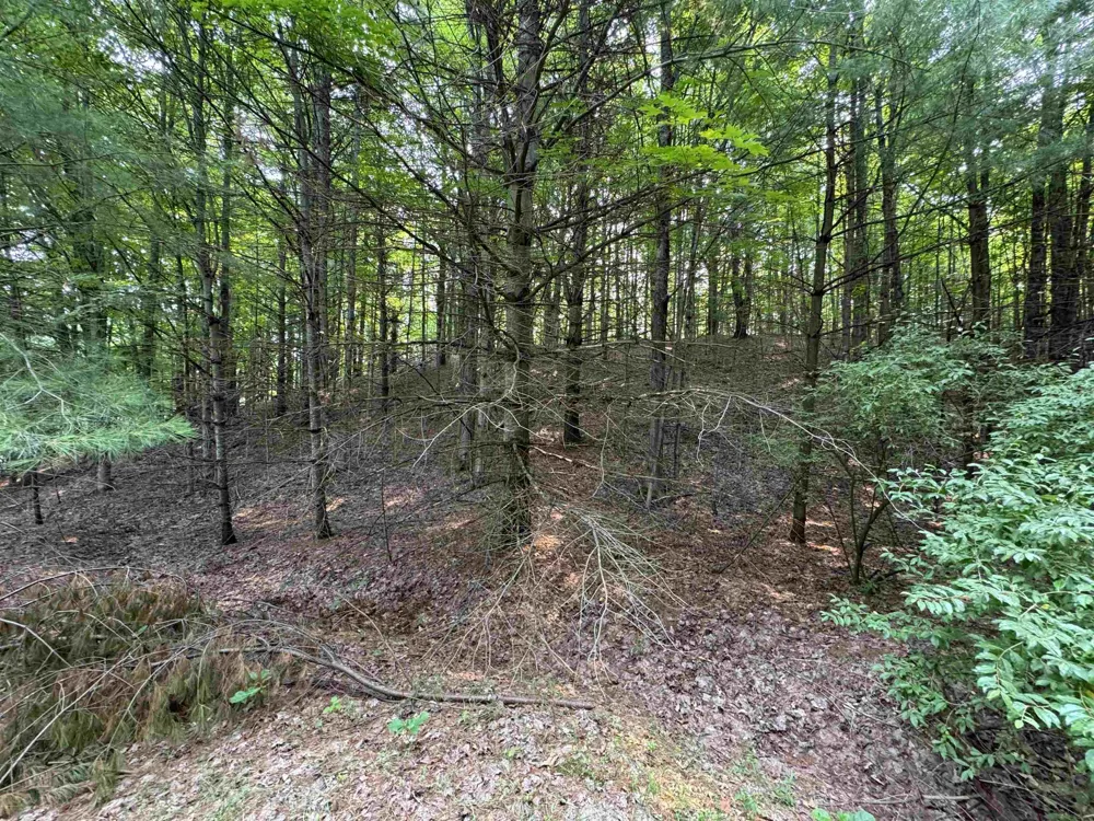 E Bellinger Road Kasson Township, MI 49621