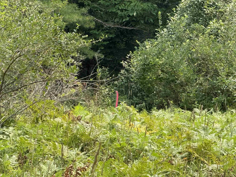 E Bellinger Road Kasson Township, MI 49621