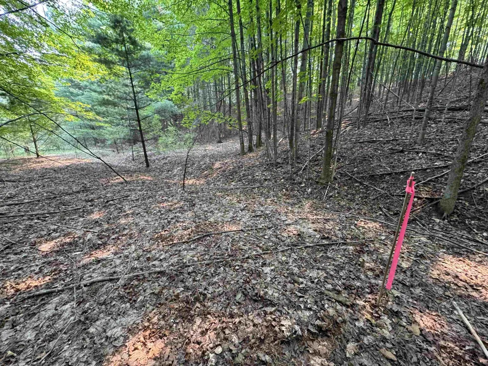 E Bellinger Road Kasson Township, MI 49621