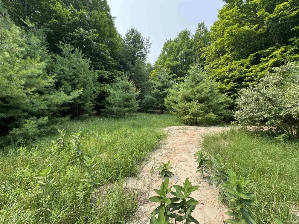 E Bellinger Road Kasson Township, MI 49621