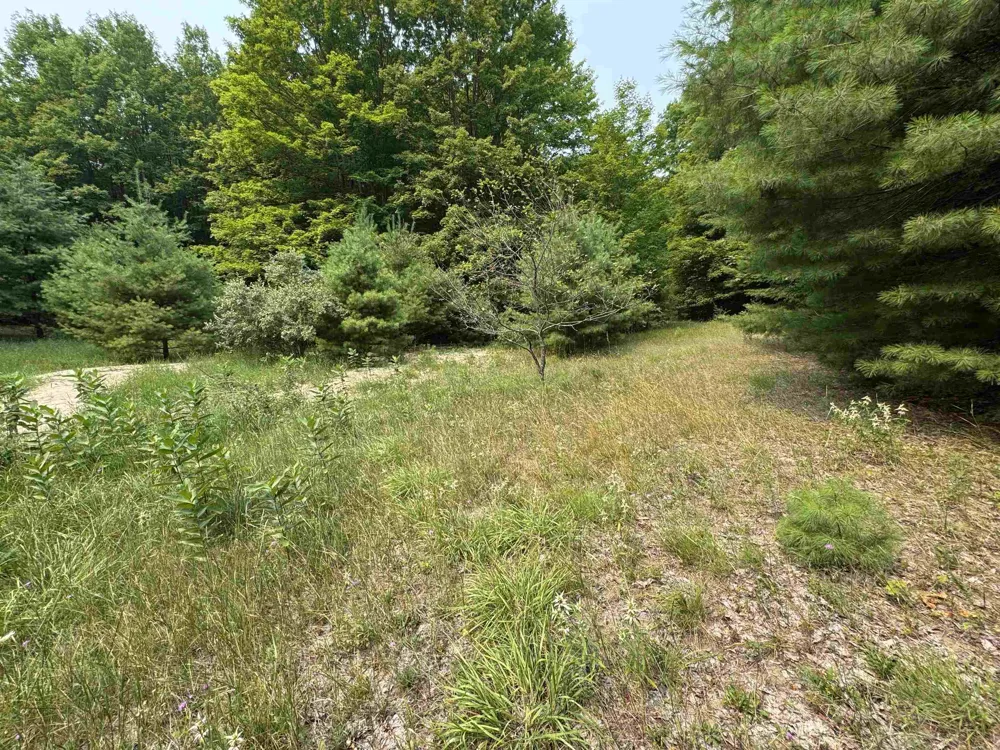 E Bellinger Road Kasson Township, MI 49621