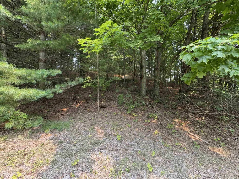 E Bellinger Road Kasson Township, MI 49621